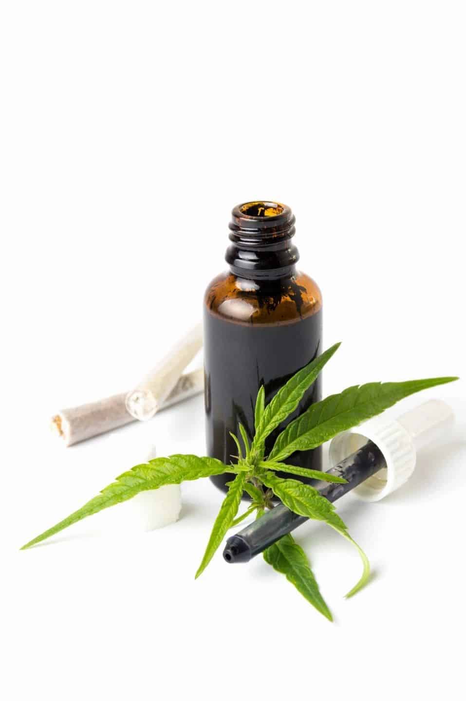 Medical Marijuana Card Doctors Bradenton Florida